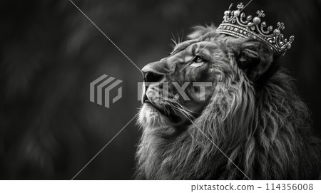Crowned Lion 114356008