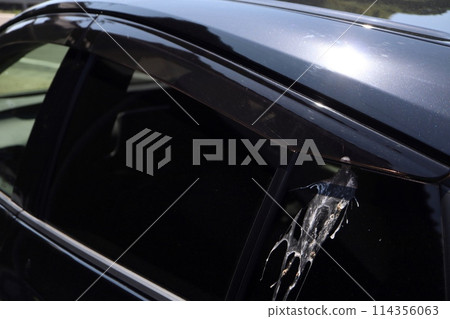 車上有鳥糞 114356063