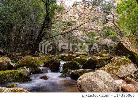 Scenery of Gokei 114356066