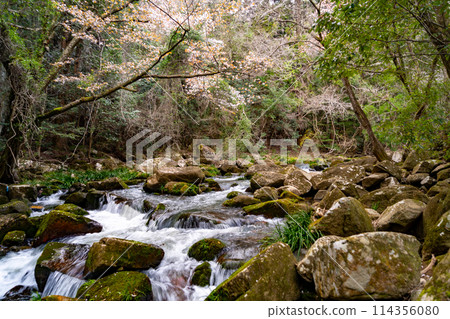 Scenery of Gokei 114356080