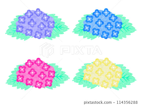 Set of 4 color hydrangeas Set of 4 color hydrangeas 114356288
