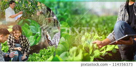Farmers working on farm with copy space for text, design template for agriculture Farmers working on farm with copy space for text, design template for agriculture 114356373