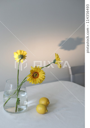 still life with lemons and yellow gerberas in a glass jar on a table covered with linen tablecloth. Summer composition with lemons and yellow flowers on kitchen table. 114356493