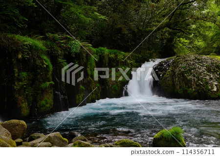 Kikuchi Valley of fresh green 114356711