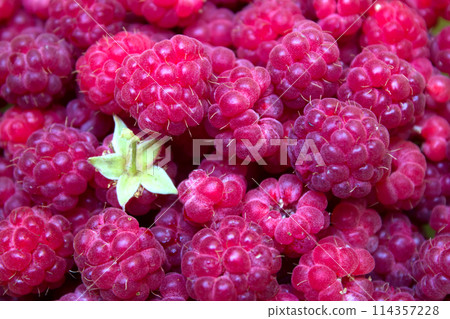 Ripe and beautiful raspberries - texture 114357228