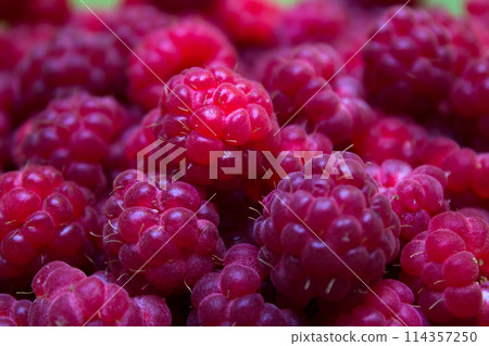 Ripe and beautiful raspberries - texture 114357250