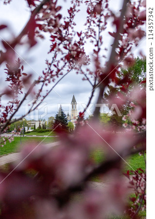 The beauty of nature is in its small details 114357342