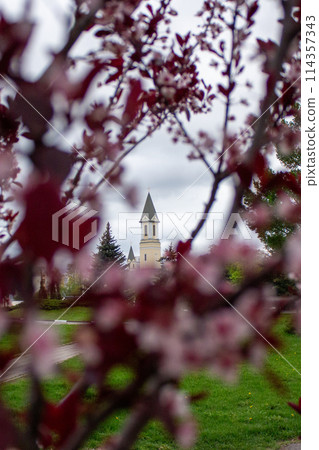 The beauty of nature is in its small details 114357343