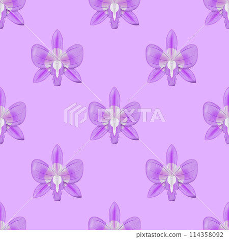 seamless pattern with pink orchid flowers 114358092