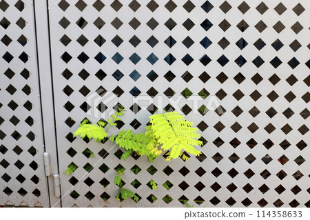 A fence in a city park on the shores of the Mediterranean Sea in northern Israel. A fence in a city park on the shores of the Mediterranean Sea in northern Israel. 114358633