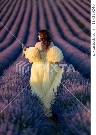 Woman lavender field. happy woman in yellow dress in lavender field summer time at sunset. Aromatherapy concept, lavender oil, photo session in lavender Woman lavender field. happy woman in yellow dress in lavender field summer time at sunset. Aromatherapy concept, lavender oil, photo session in lavender 114359240