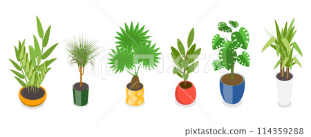 3D Isometric Flat Set of Houseplants, Different Indoor Plants 3D Isometric Flat Set of Houseplants, Different Indoor Plants 114359288
