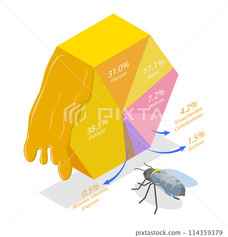 3D Isometric Flat Conceptual Illustration of Composition Of Honey, Wax, Nectar, Bee Venom 3D Isometric Flat Conceptual Illustration of Composition Of Honey, Wax, Nectar, Bee Venom 114359379