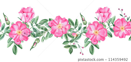 Rose hip horizontal watercolor seamless border pattern. Hand drawn botanical illustration. Dog rose flowers, buds, branches and berries. Can be used for fabric, textile, packaging prints, wallpaper Rose hip horizontal watercolor seamless border pattern. Hand drawn botanical illustration. Dog rose flowers, buds, branches and berries. Can be used for fabric, textile, packaging prints, wallpaper 114359492