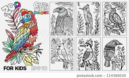 A book of children's coloring pages featuring birds. The pages are designed for kids and come in a set of six 114360030