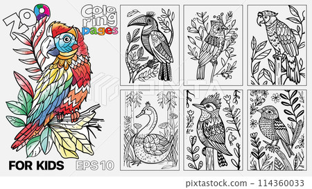 A book of children's coloring pages featuring birds. The pages are designed for kids and come in a set of six A book of children's coloring pages featuring birds. The pages are designed for kids and come in a set of six 114360033