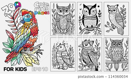 A book of children's coloring pages featuring birds. The pages are designed for kids and come in a set of six A book of children's coloring pages featuring birds. The pages are designed for kids and come in a set of six 114360034