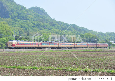 兩毛線 岩船佐野 JR 東日本 183 系 OM101 編組（大宮）足利紫藤節 114360321