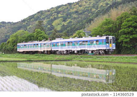 Kururi Line Shimogori-Obitsu JR East Kiha 38-3 + Kiha 37-1003 (Makuhari) Kururi Line Shimogori-Obitsu JR East Kiha 38-3 + Kiha 37-1003 (Makuhari) 114360529