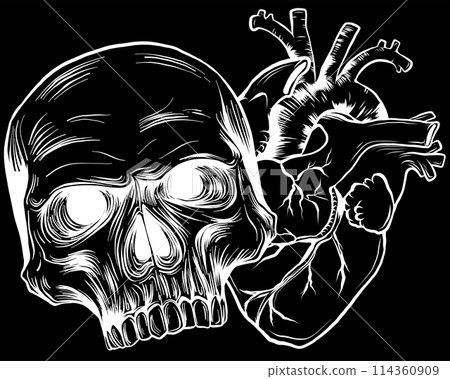 white silhouette of human skull with heart vector illustration design digital hand draw 114360909