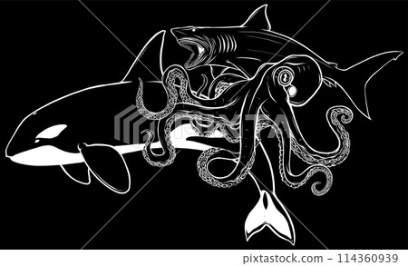 white silhouette of Fish and wild marine animals in ocean on black background white silhouette of Fish and wild marine animals in ocean on black background 114360939
