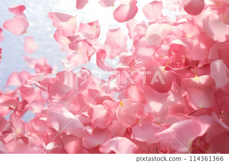 close-up of floating pink petals in the air close-up of floating pink petals in the air 114361366