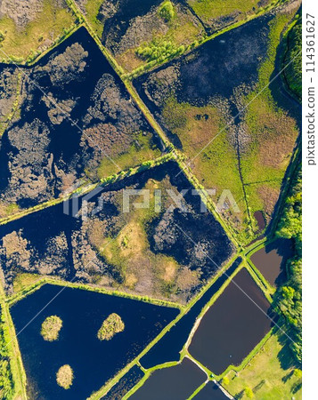 beautiful artificial lake in green forest, serene fishing pond and swamp, fishery and hunting industry, aerial top view, Osowek Poland beautiful artificial lake in green forest, serene fishing pond and swamp, fishery and hunting industry, aerial top view, Osowek Poland 114361627