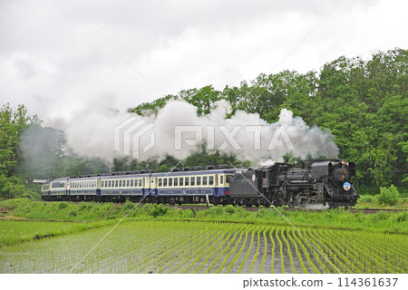 Ban'etsu West Line Yamato-Kitakata JR East D51-498 (Takasaki) + 12 series (Niitsu) D51 Ban'etsu Monogatari 114361637