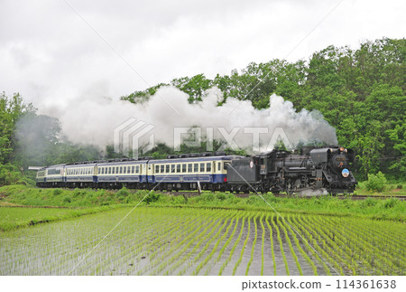 Ban'etsu West Line Yamato-Kitakata JR East D51-498 (Takasaki) + 12 series (Niitsu) D51 Ban'etsu Monogatari 114361638