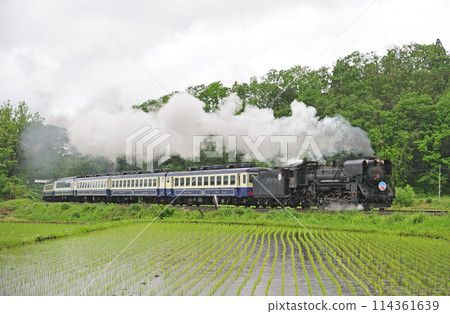 Ban'etsu West Line Yamato-Kitakata JR East D51-498 (Takasaki) + 12 series (Niitsu) D51 Ban'etsu Monogatari 114361639