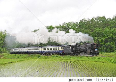 Ban'etsu West Line Yamato-Kitakata JR East D51-498 (Takasaki) + 12 series (Niitsu) D51 Ban'etsu Monogatari 114361641