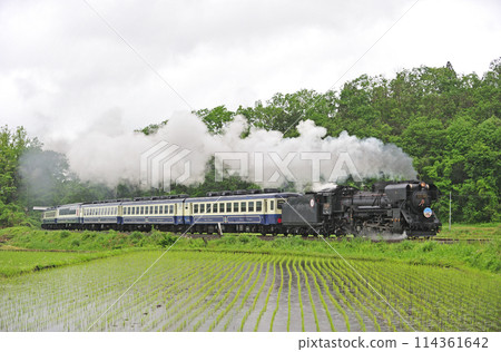 Ban'etsu West Line Yamato-Kitakata JR East D51-498 (Takasaki) + 12 series (Niitsu) D51 Ban'etsu Monogatari Ban'etsu West Line Yamato-Kitakata JR East D51-498 (Takasaki) + 12 series (Niitsu) D51 Ban'etsu Monogatari 114361642