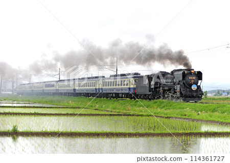 Ban'etsu West Line Dojima-Aizuwakamatsu JR East D51-498 (Takasaki) + 12 series (Niitsu) D51 Ban'etsu Monogatari Ban'etsu West Line Dojima-Aizuwakamatsu JR East D51-498 (Takasaki) + 12 series (Niitsu) D51 Ban'etsu Monogatari 114361727