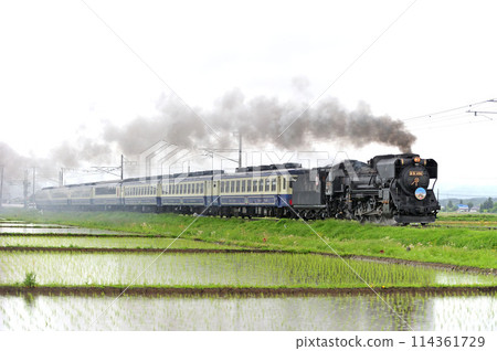 磐越西線 堂島-會津若松 JR東日本 D51-498（高崎）+ 12系（新津） D51 磐越物語 114361729