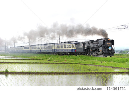 Ban'etsu West Line Dojima-Aizuwakamatsu JR East D51-498 (Takasaki) + 12 series (Niitsu) D51 Ban'etsu Monogatari Ban'etsu West Line Dojima-Aizuwakamatsu JR East D51-498 (Takasaki) + 12 series (Niitsu) D51 Ban'etsu Monogatari 114361731