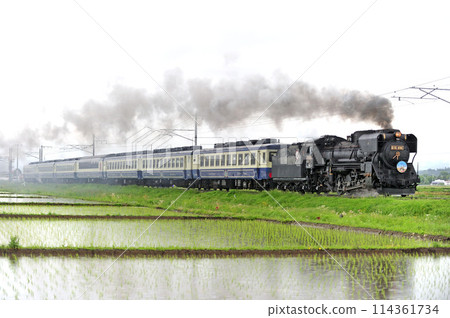 Ban'etsu West Line Dojima-Aizuwakamatsu JR East D51-498 (Takasaki) + 12 series (Niitsu) D51 Ban'etsu Monogatari Ban'etsu West Line Dojima-Aizuwakamatsu JR East D51-498 (Takasaki) + 12 series (Niitsu) D51 Ban'etsu Monogatari 114361734