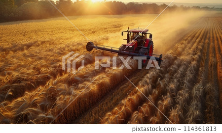 Tractor Driving Through Wheat Field Tractor Driving Through Wheat Field 114361813