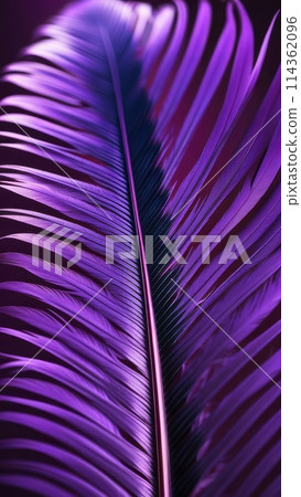 Close-up of a bright purple feather 114362096
