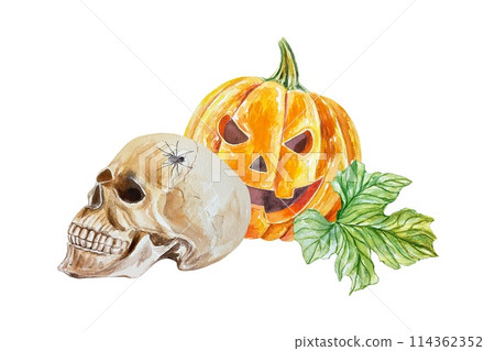 Human skull, spider, Halloween pumpkin, leaf. Hand drawn watercolor illustration isolated on white background. For cards, invitations, flyers, banners Human skull, spider, Halloween pumpkin, leaf. Hand drawn watercolor illustration isolated on white background. For cards, invitations, flyers, banners 114362352