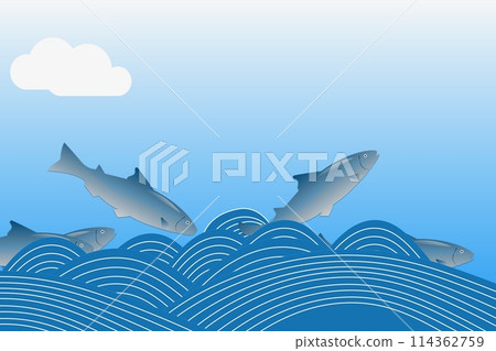 School of salmon School of salmon 114362759