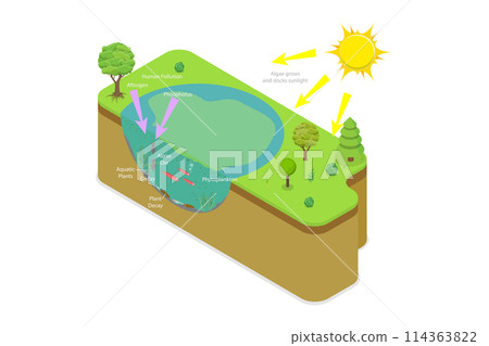 3D Isometric Flat  Conceptual Illustration of Eutrophication, Euphotic Zone 114363822