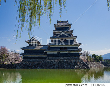 晴空萬裡，春天的松本城 114364022
