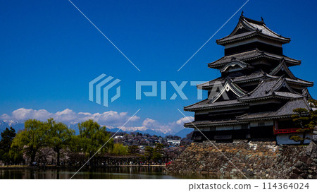 春天的松本城和余雪的北阿爾卑斯 114364024