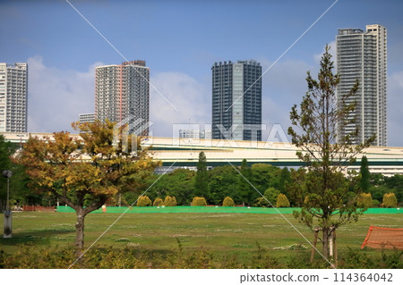 辰巳之森海濱公園風景（東京都江東區） 114364042