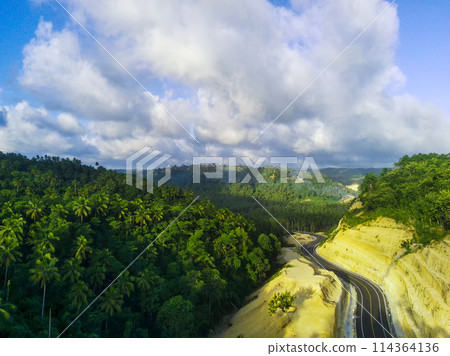 a curved road snaking through a dense green forest. 114364136