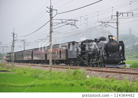 上越線五官沼田 JR 東日本 C61-20 + 老客戶(高崎)SL 水上 上越線五官沼田 JR 東日本 C61-20 + 老客戶(高崎)SL 水上 114364482