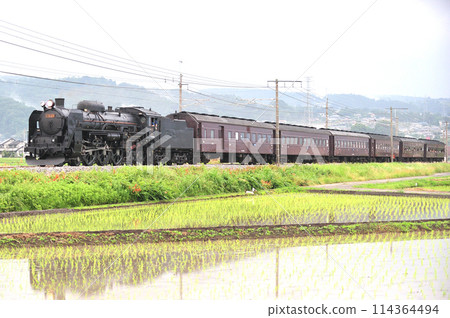 上越線 涉川八木原 JR 東日本 C61-20 + 老顧客(高崎)SL 水上 上越線 涉川八木原 JR 東日本 C61-20 + 老顧客(高崎)SL 水上 114364494