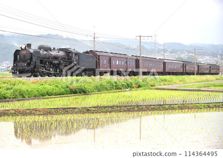 Joetsu Line Shibukawa-Yagihara JR East C61-20 + old passenger car (Takasaki) SL Minakami 114364495