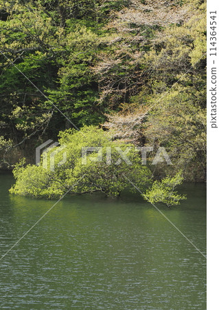 Spring at Lake Muro Spring at Lake Muro 114364541