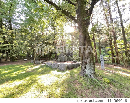 Japanese Castle: Minowa Castle Ruins in Gunma Japanese Castle: Minowa Castle Ruins in Gunma 114364648